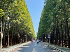 -日照海滨国家森林公园