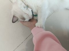 -怪兽屋·羊驼·猫咖·狗咖(俊华广场店)