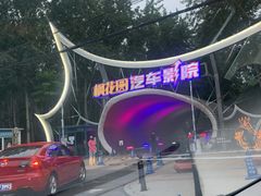-枫花园汽车电影院(朝阳公园店)