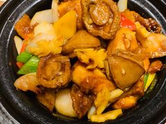 -云龙轩(迪士尼探索家度假酒店)