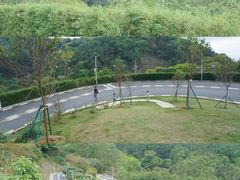 -黄埔油麻山森林公园