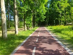 -黄海国家森林公园