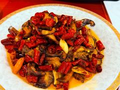 -菌之家·专业纯野生菌火锅·特色炒菌