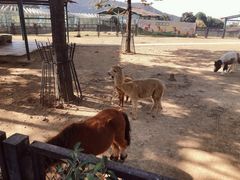 -无锡动物园·太湖欢乐园