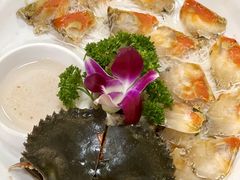 -官塘陈记鱼生·潮汕砂锅粥·牛肉火锅(潮枫路总店)