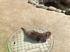 -杭州野生动物世界