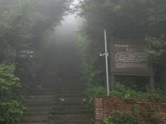 -武陵山森林公园