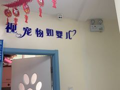 -全心全意连锁动物医院·微创中心·内科急重症·心脏专科(丰管路店)
