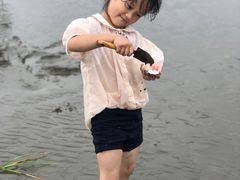-奉贤海滩