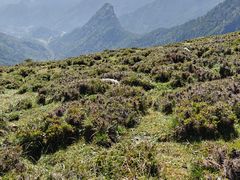 -芦芽山旅游度假区