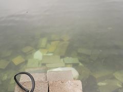 -什刹海