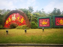 -金山植物公园