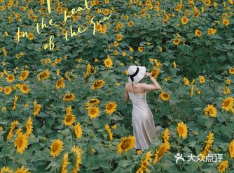  向日葵永远不会放弃太阳   	 没想到成都居然这么