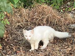 -兰陵国家农业公园