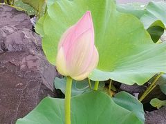-上海怡沁园度假酒店