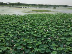 -重元寺香积厨素斋馆