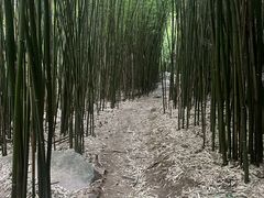 -井空里大峡谷