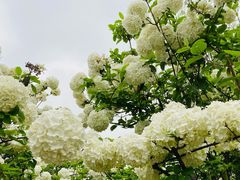 -大龙山(地铁站)