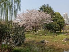 -堤角公园