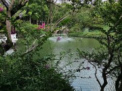 -上海醉白池公园