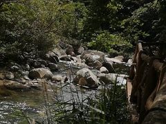 -海南热带雨林国家公园吊罗山景区