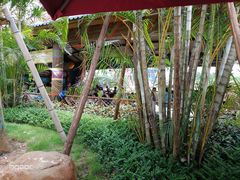 -美的鹭湖探索王国