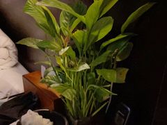 -水墨澜渟足道·SPA·传统(四望亭东关街店)