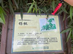 -呀路古热带植物园