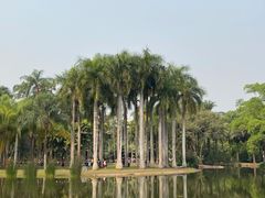 -中国科学院西双版纳热带植物园