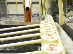 -杭州黄龙洞