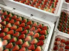 -西郊国际农产品交易中心