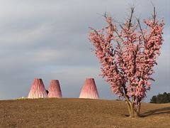 -云漫湖生态度假公园