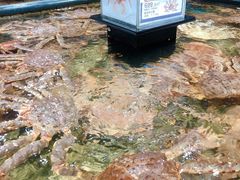 -盒马鲜生(皇庭广场店)