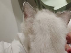 -怪兽屋·羊驼·猫咖·狗咖(俊华广场店)