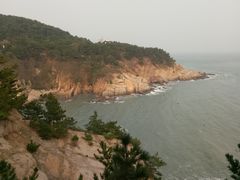 -烟墩角天鹅湖