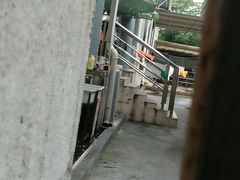 -小海豚国际游泳培训(长宁龙之梦酒店)