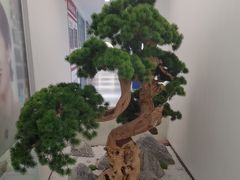 -固德口腔(南城总院)