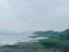 -东梓关景区村庄