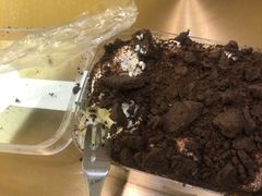 -西檬树SIMON·T轻奢蛋糕(大东方Max店)