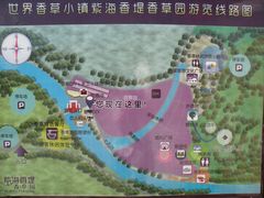 导游图-紫海香堤香草艺术庄园