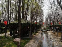 -草根堂农场