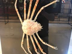 -燕莎友谊商城(亮马桥店)