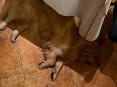 -火车头法国西餐厅