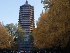 -玲珑塔公园