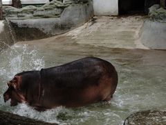 -昆明动物园