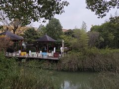 -咸宁万豪温泉谷度假区