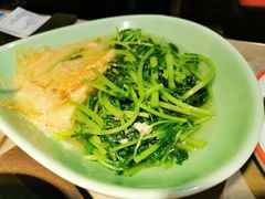 鸡汁腐皮香蒿-新白鹿餐厅(金鹰新街口店)