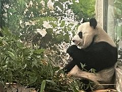 -柳州市动物园