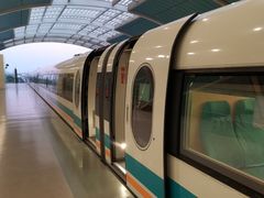 -浦东1号2号航站楼(地铁站)