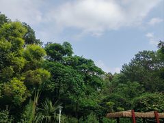 -深圳湾公园(南山区)